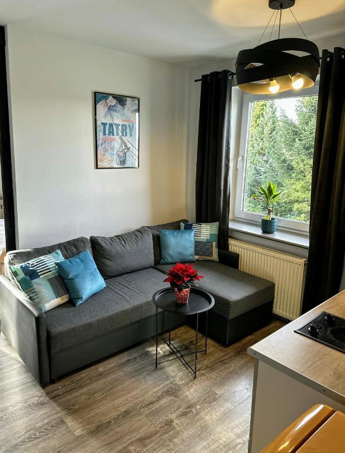 Appartement Swarny Zakatek à Zakopane Extérieur photo